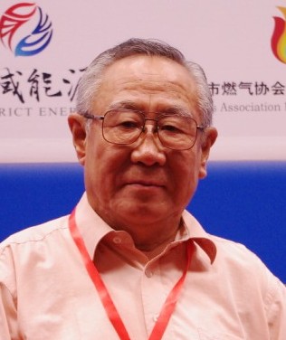 華南理工大學天然氣利用研究中心主任