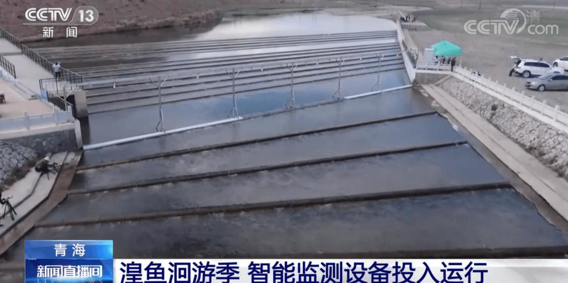 圖片4.jpg 圖片4.jpg